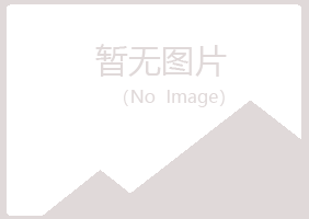 双辽冰夏化学有限公司